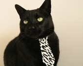 德国马术协会与欧洲马术协会签署合作协议，共同举办国际赛事。