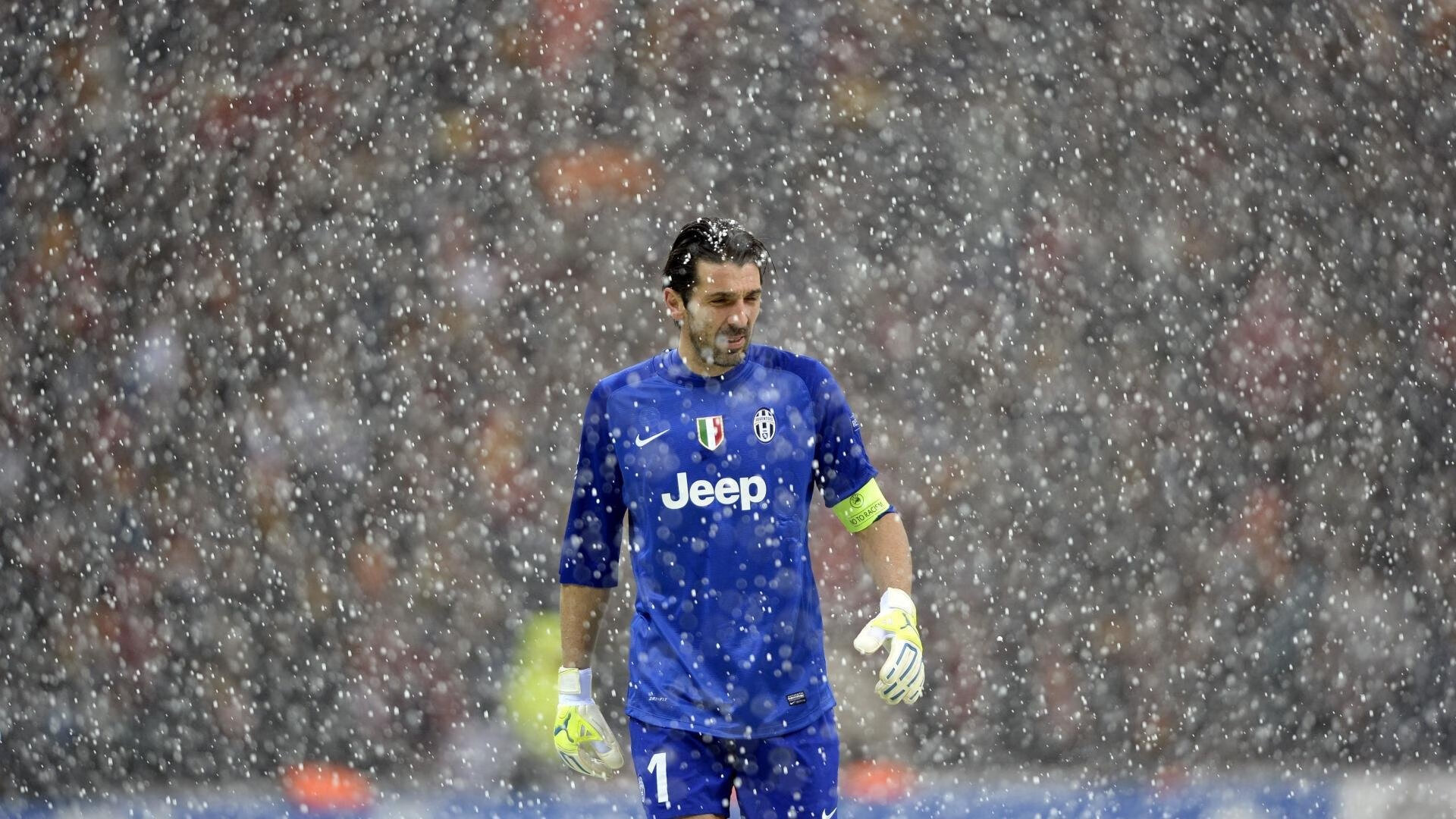 奥地利男队自由泳强势起步，奥地利游泳名将