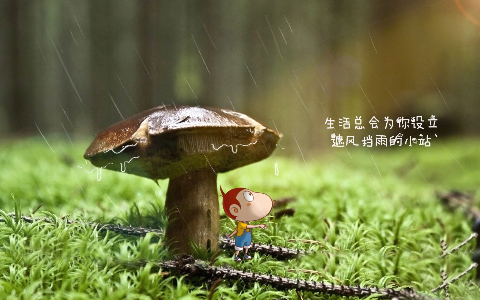 开云体育入口-“英超场面火爆，球迷热情高涨”，zaker 英超